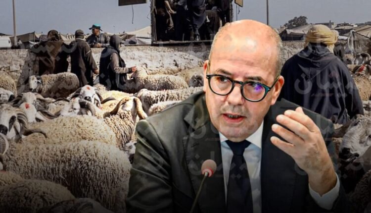 شبح-الإفلاس-يطارد-كسابة-بـ-“أزيلال”-وسط-مطالب-بتدخل-وزارة-الفلاحة