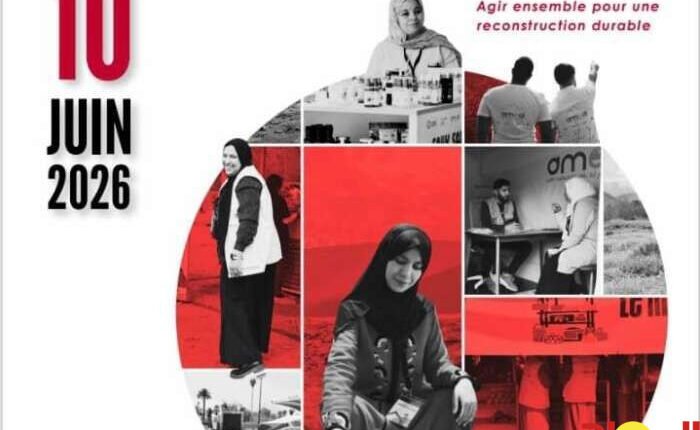 المعهد-الأوروبي-للتعاون-والتنمية-يستعرض-حصيلة-برامجه-بإقليم-الحوز