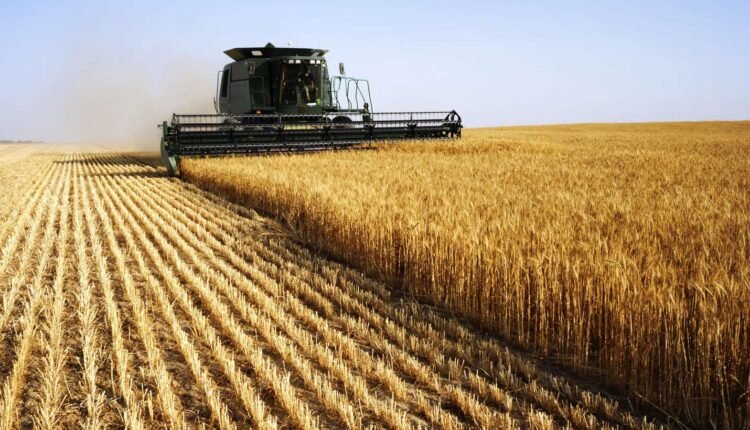campagne-cerealiere-:-des-rendements-jusqu’a-57-quintaux-par-hectare
